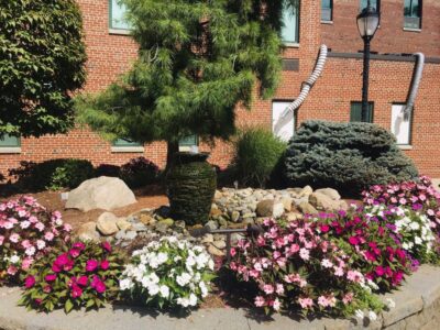 Holy Name Hospital
