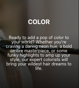 Wild Orchid Salon