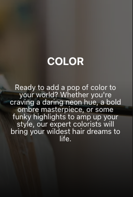 Wild Orchid Salon