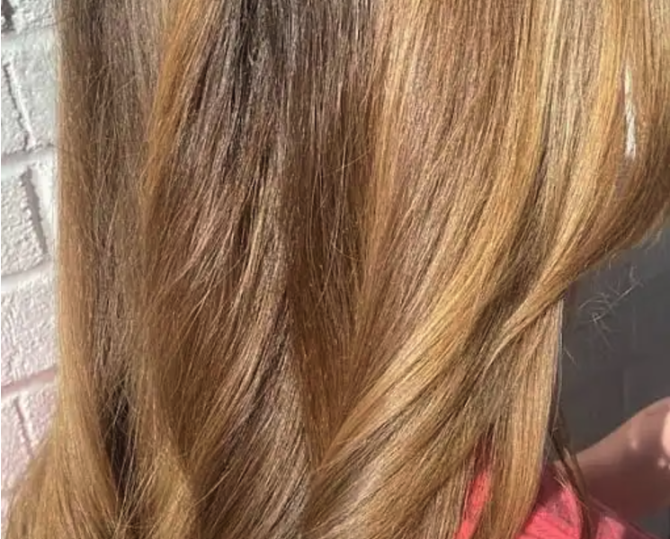 Wild Orchid Salon